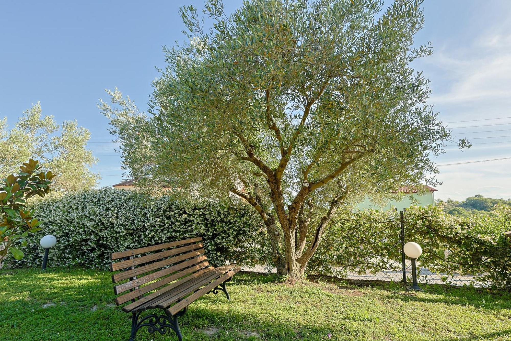 Villa Zeusplace Traditional Peponi Katerini