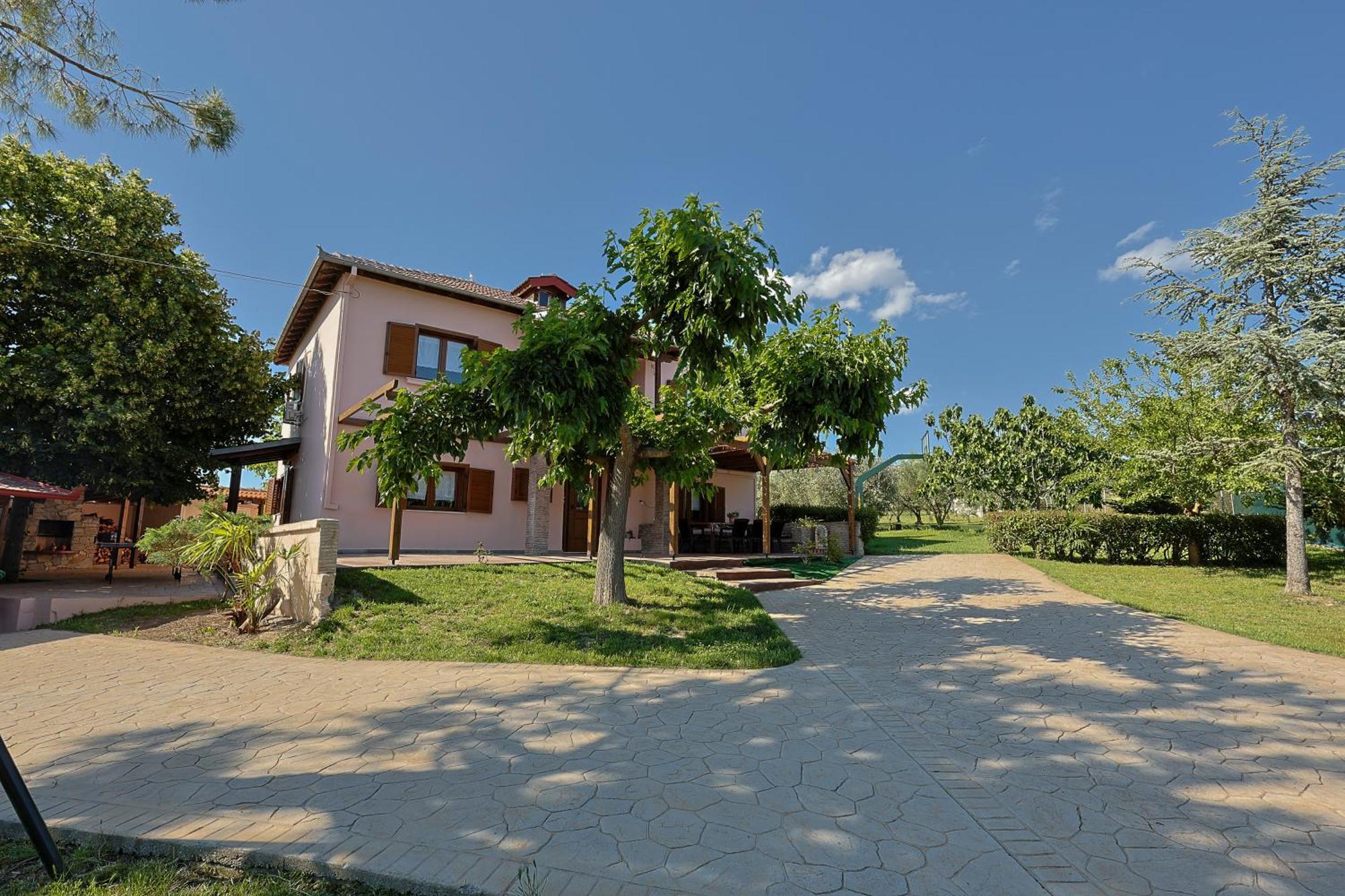 Zeusplace Traditional Peponi