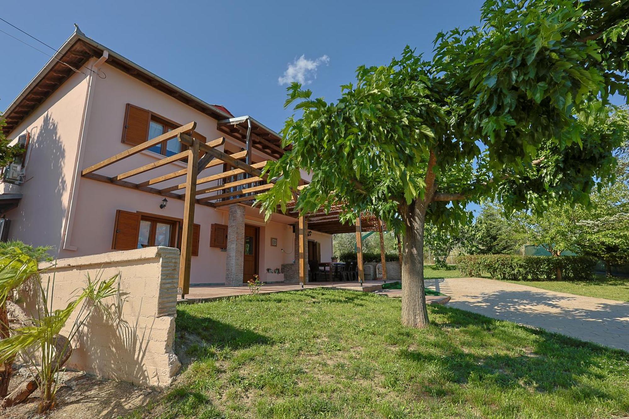 Zeusplace Traditional Peponi